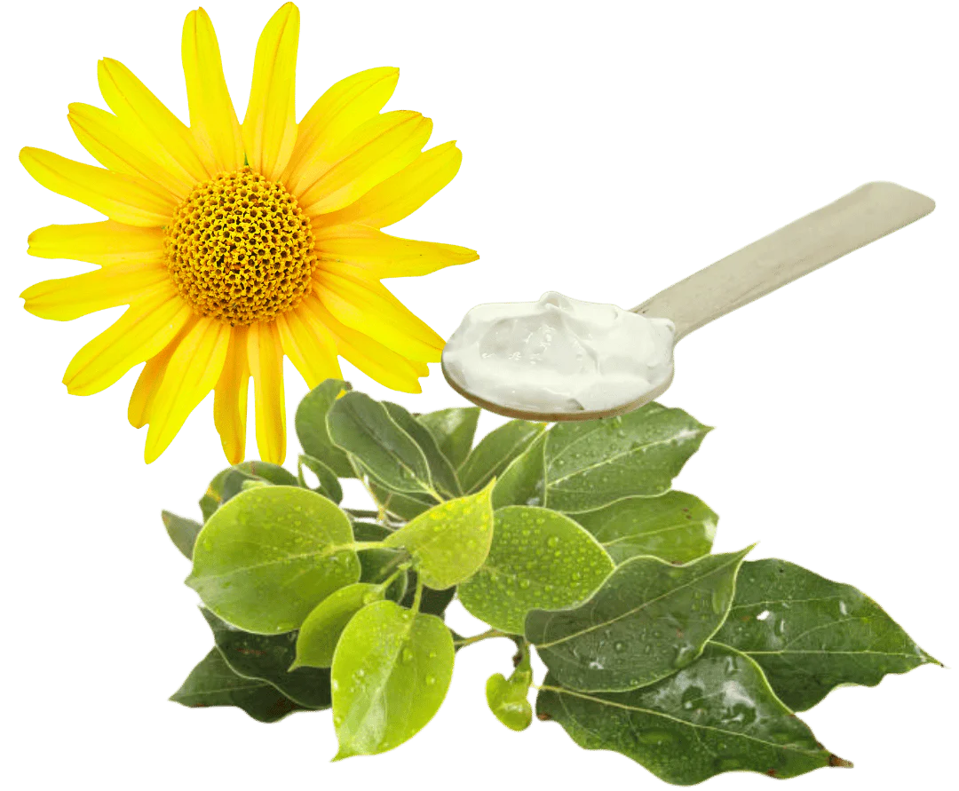 Formula Premium Ingredienti